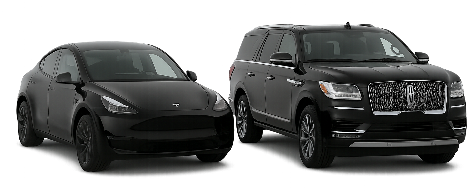tesla-denali-blackservice-2